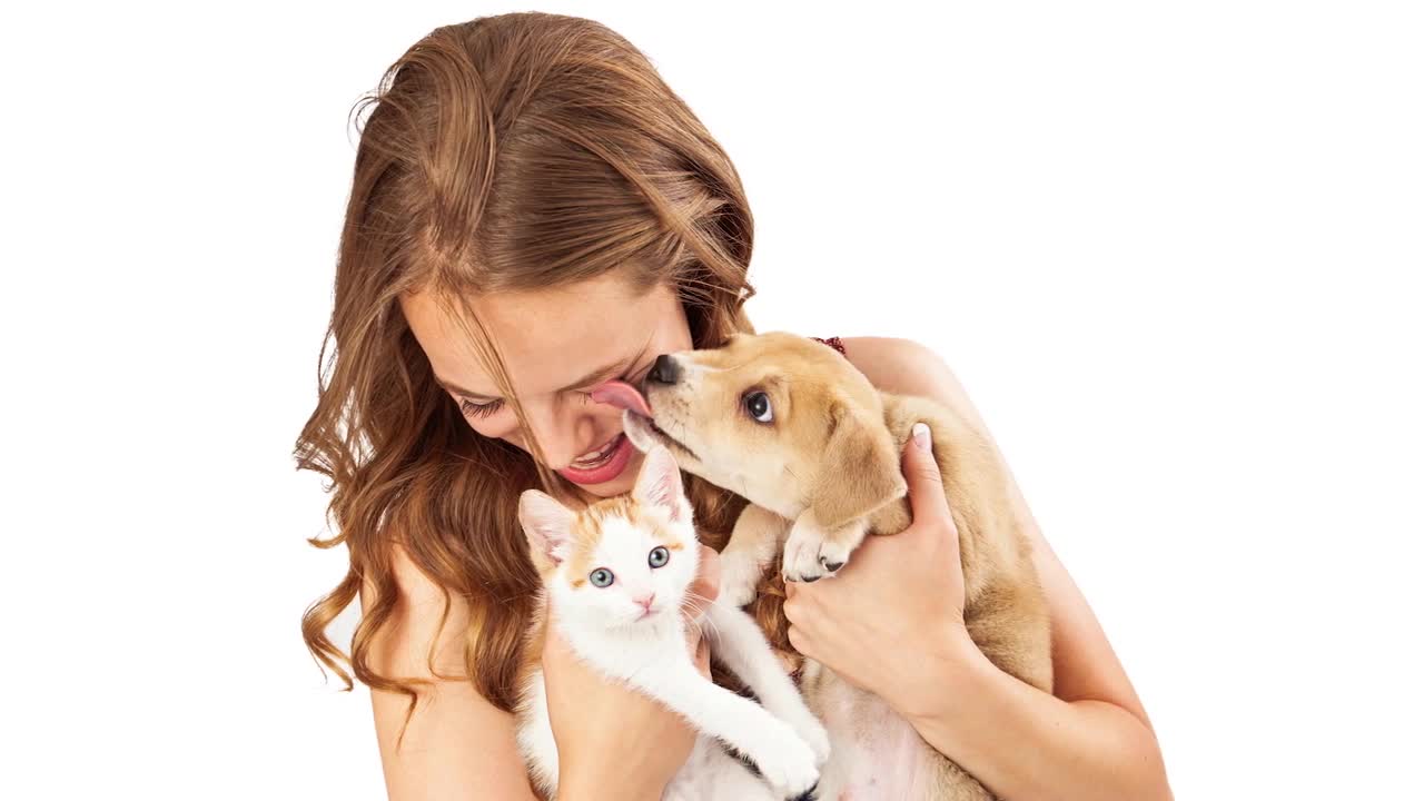 Is pet insurance worth it?