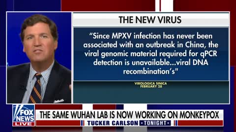 Tucker Carlson This may have been the greatest crime in history