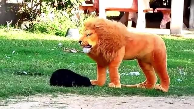 Fake Tiger Prank on Dogs