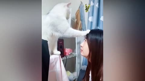 Very sweet, the cat kisses the lovely girl