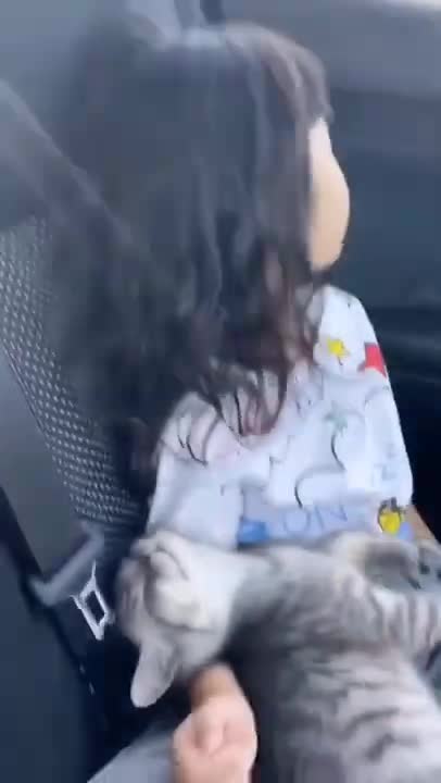 .cute and funny cat ❤#shorts #cat #cutecat