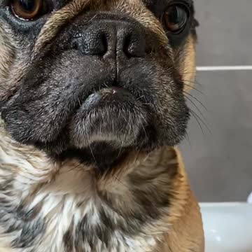 The look of disgust when mum baths you