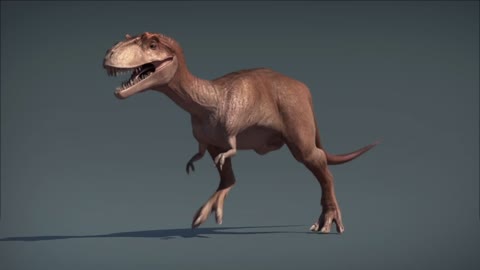 Little Dinosaur