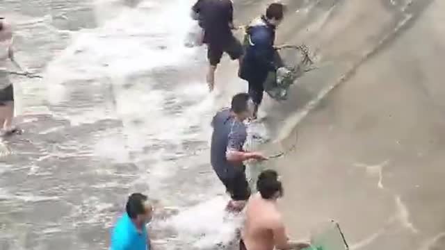 Amazing fishing.Short #9