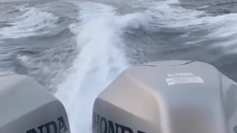 Fishing fishing