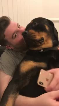 Rottweiler grumble/purr/rumble/happy/nothappy?