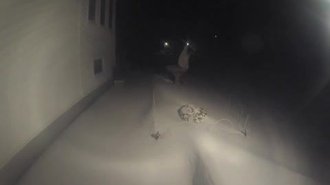 Timelapse of a Blizzard