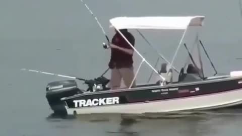 This is a beautiful and charming water-dwelling species