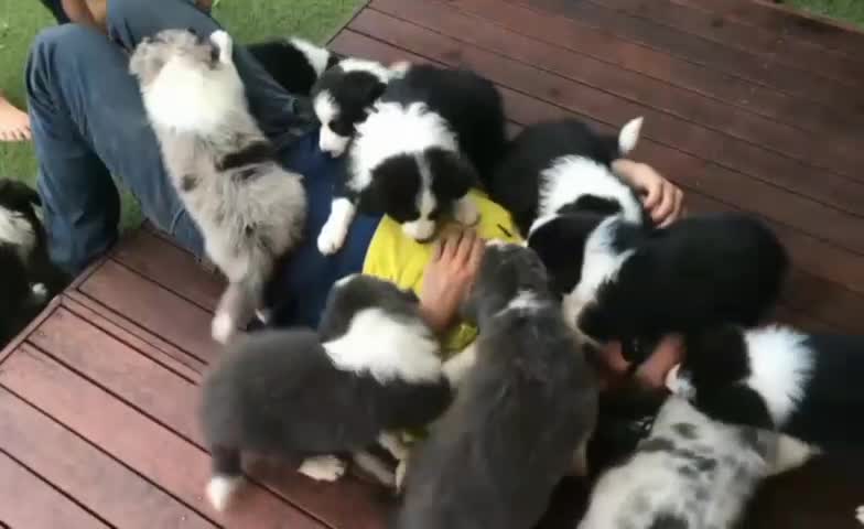 They are Gods gift’s