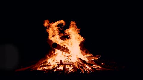 Relaxing Harp with Campfire in nature