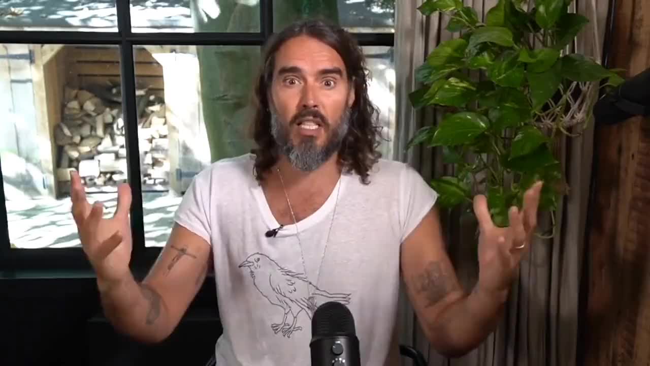 Those Hollywood Red Pills taste MUCHO DELICIOUSO!!!
