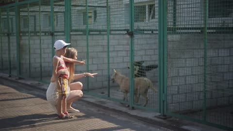 Mom and son search for pet in dog shelter