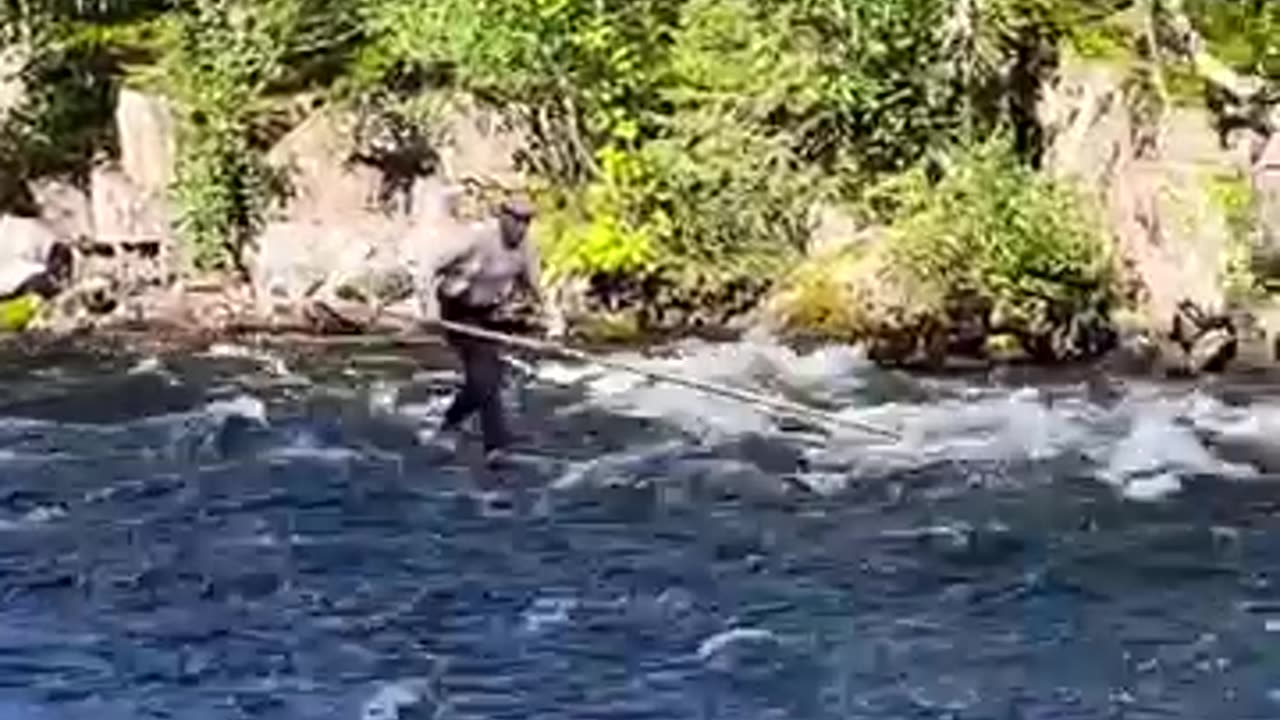 Old Thymer riding a log down the river