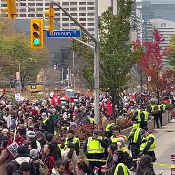 Rally in Toronto demanding end to Siege of Gaza