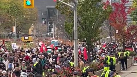 Rally in Toronto demanding end to Siege of Gaza