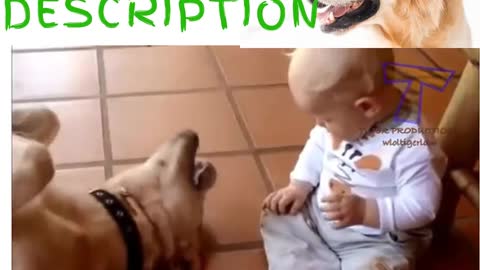 dog& baby playing