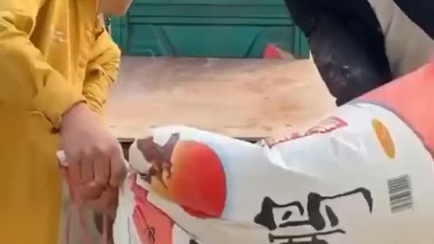 These people are very funny