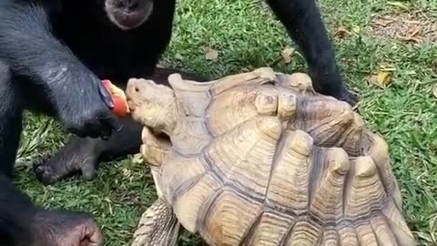 Sharing is caring ❤