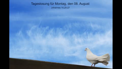 Tageslosung für Montag, den 08. August