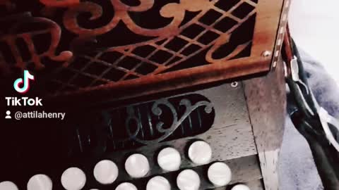 Attila accordeon 2