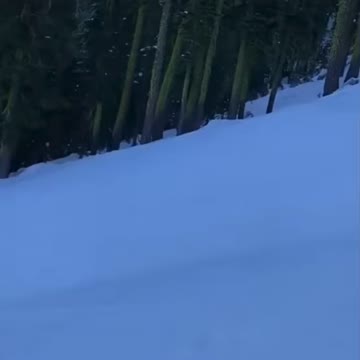 People skiing and funny noises