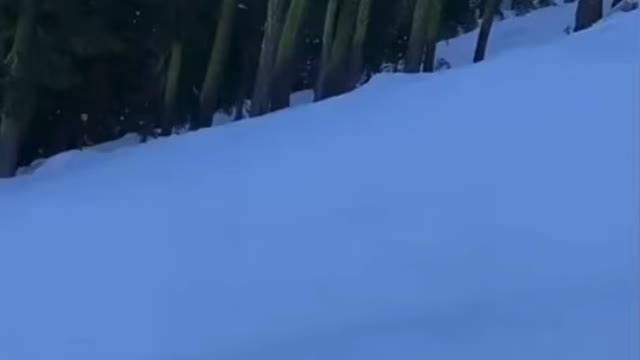 People skiing and funny noises