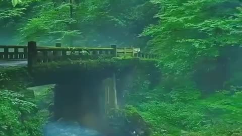 Amezing Nature