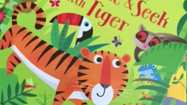 Usborne Play Hide & Seek