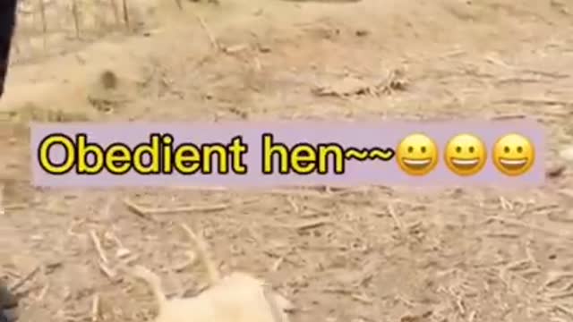 So funny cute ❤ dogs 🐶 and cats 🐱