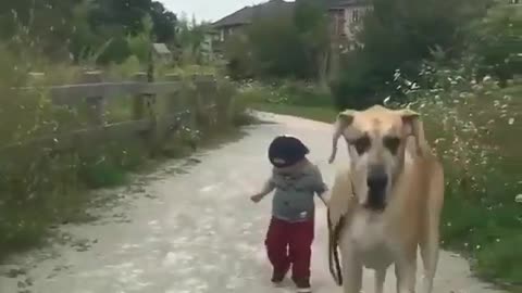 Baby, walk the dog