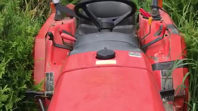 Mowing tree rows of green giants at Highland Hill Farm near Philadelphia