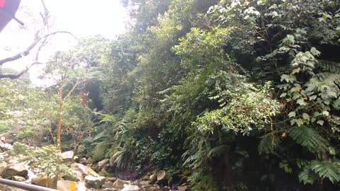 Go Green