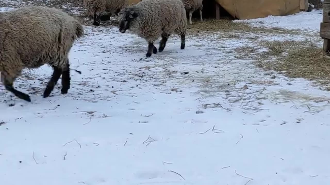 Riverdale Farm