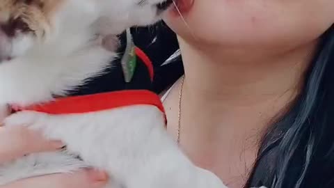 dog kiss with women#2