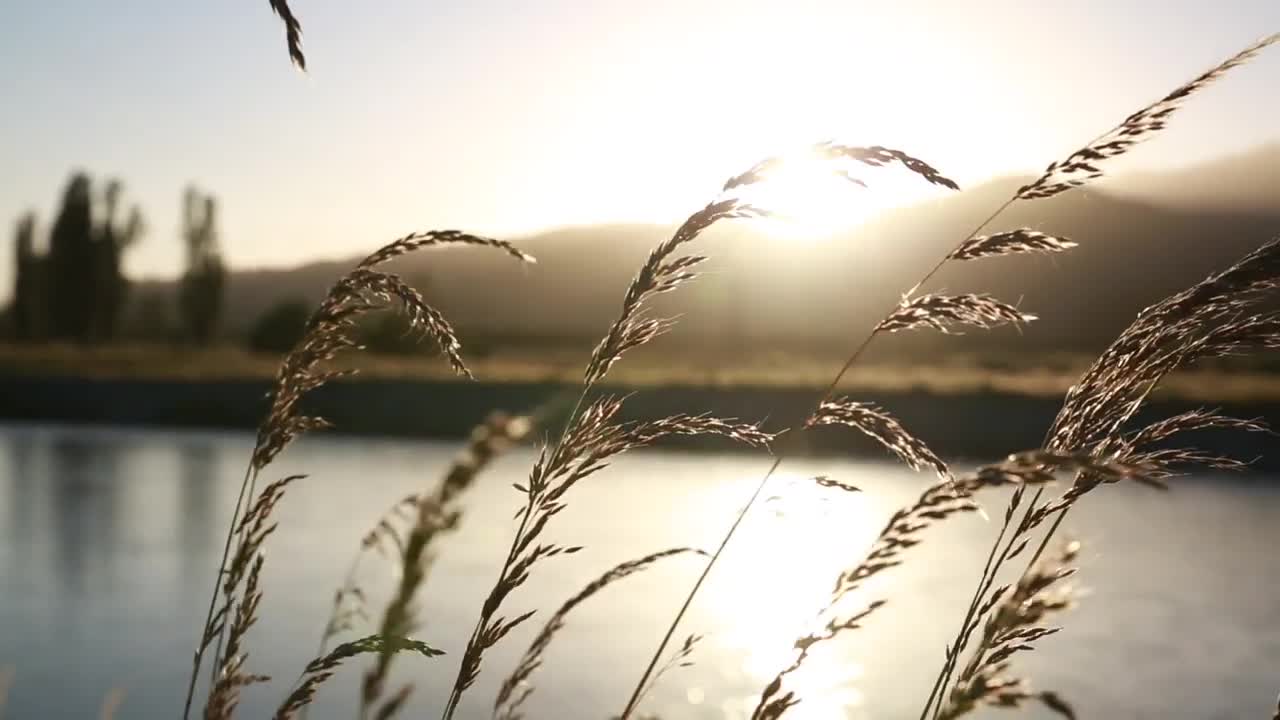 Relaxing Nature Sounds for Sleep | ASMR