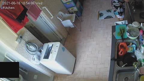 kitchen morning 16 June 2021 20210616