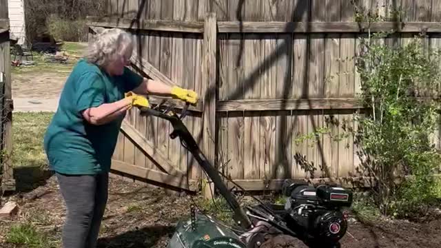 Starting a homestead
