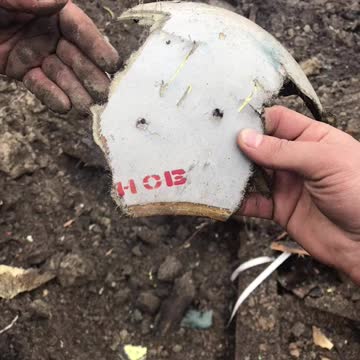 Fragments of the occupant pilot from the crash site of a Russian plane near Borodyanka