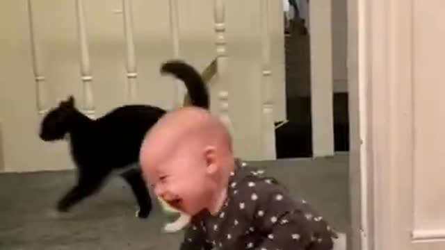 cute lovely cats😍 funny moments #3