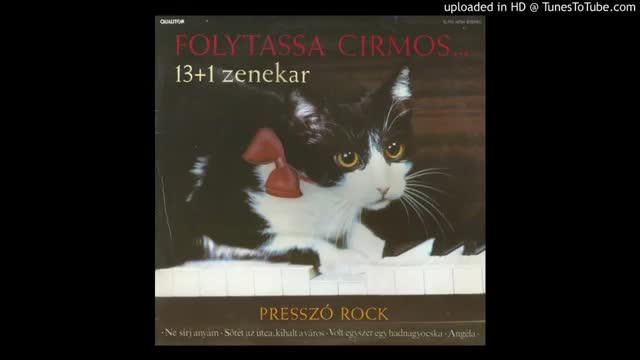 Cirmos Kormos ¬ Évikém