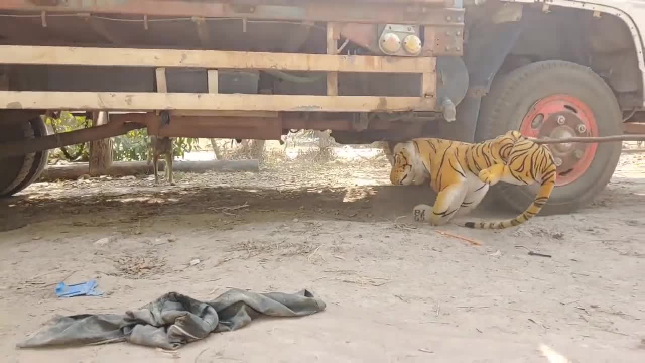 Fake Tiger Prank Dog Run Funny Video |