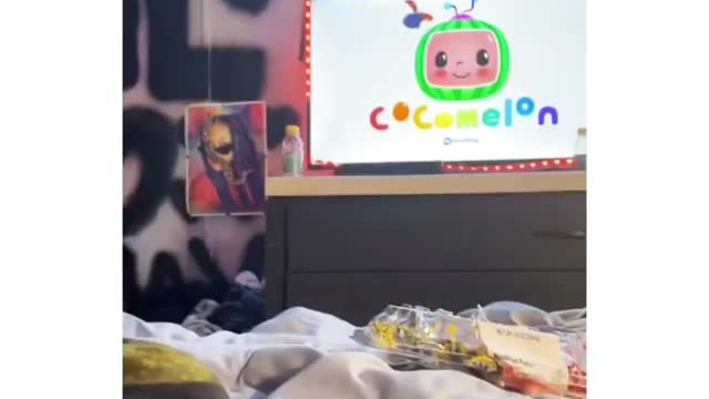 Snake loves to watch cocomelon