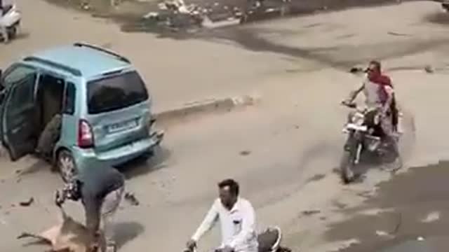 Road fight for catching pigs