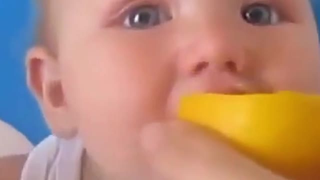 Cute and Funny Kids try Lemon