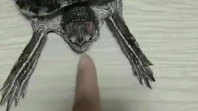 Manicure for you