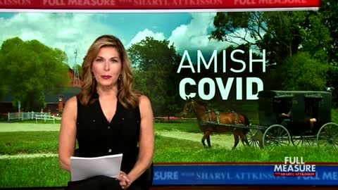 amish amish amish amish amish amish