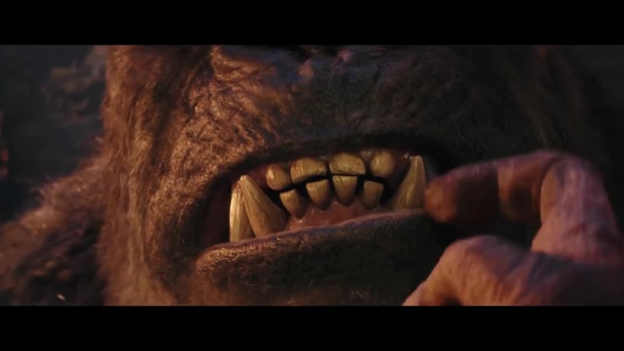 Kong fight