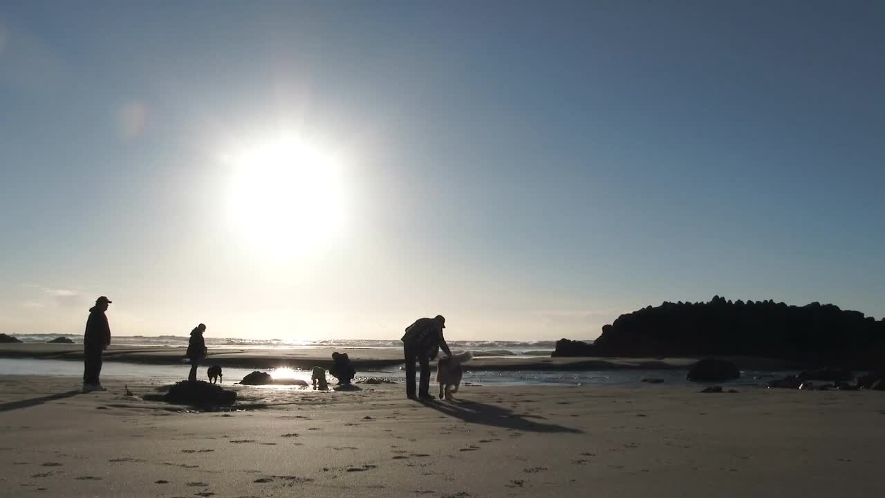 Big Beach Dog With Family At The Coast