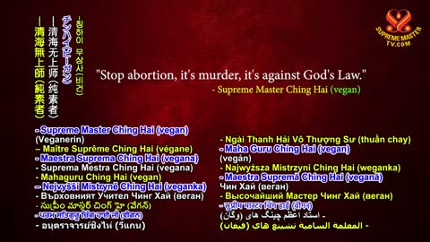 Stop Abortion, It’s Murder, It’s Against God’s Law, Part 2