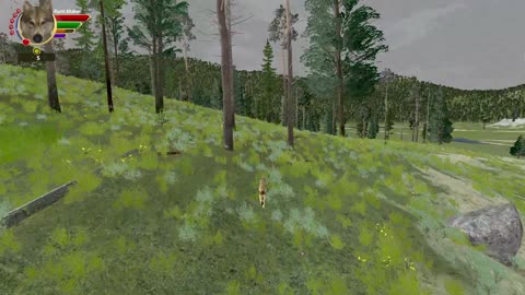 Mimic's Wolfquest AE all single player achievements - 27